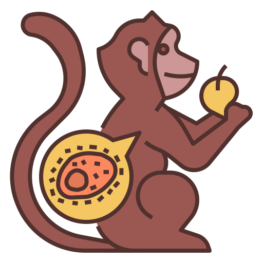 Monkey