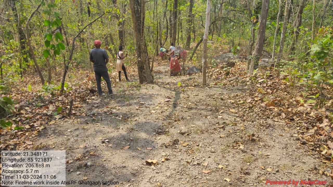 Forest Fire Prevention